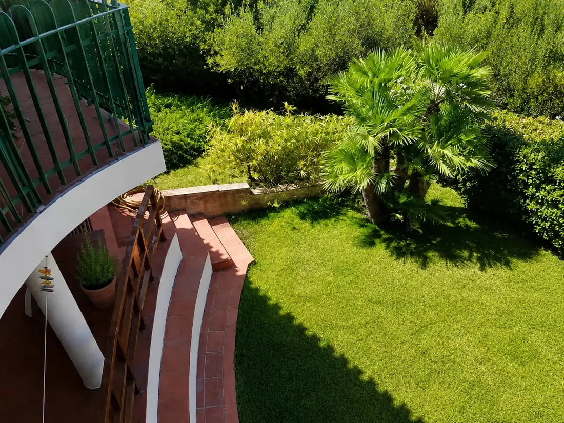 Bouganville — Dettaglio della casa