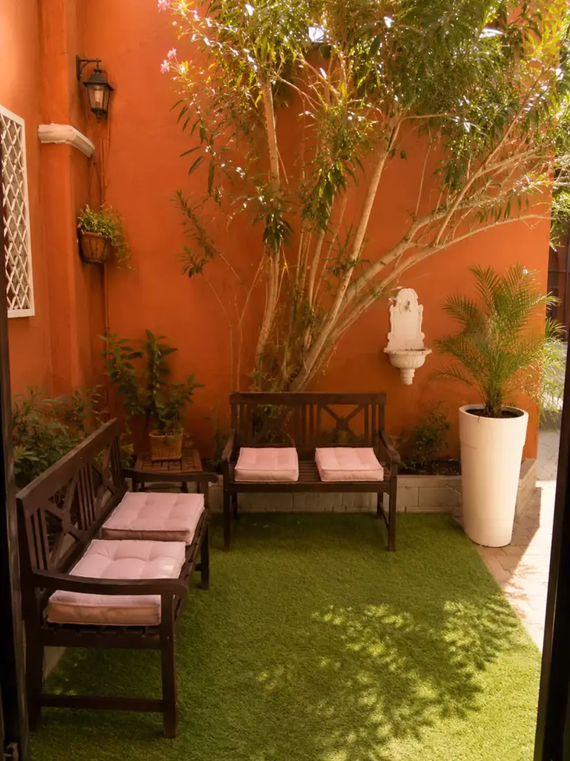 Oleandro Rosa — Patio